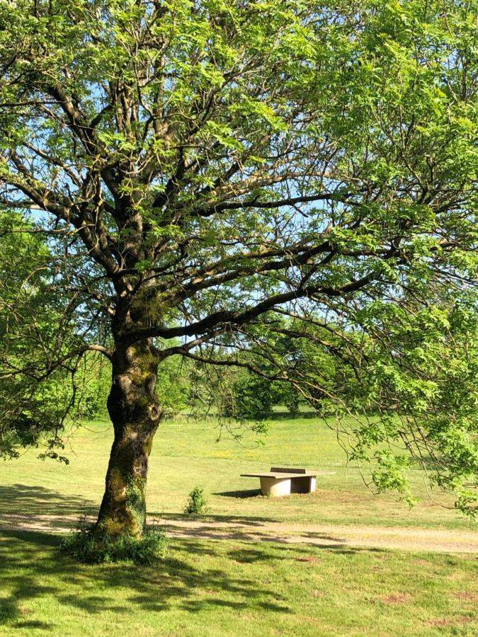 Domaine De Tapies 2 Gites Jusqu A 19 Personnes Cornus Buitenkant foto